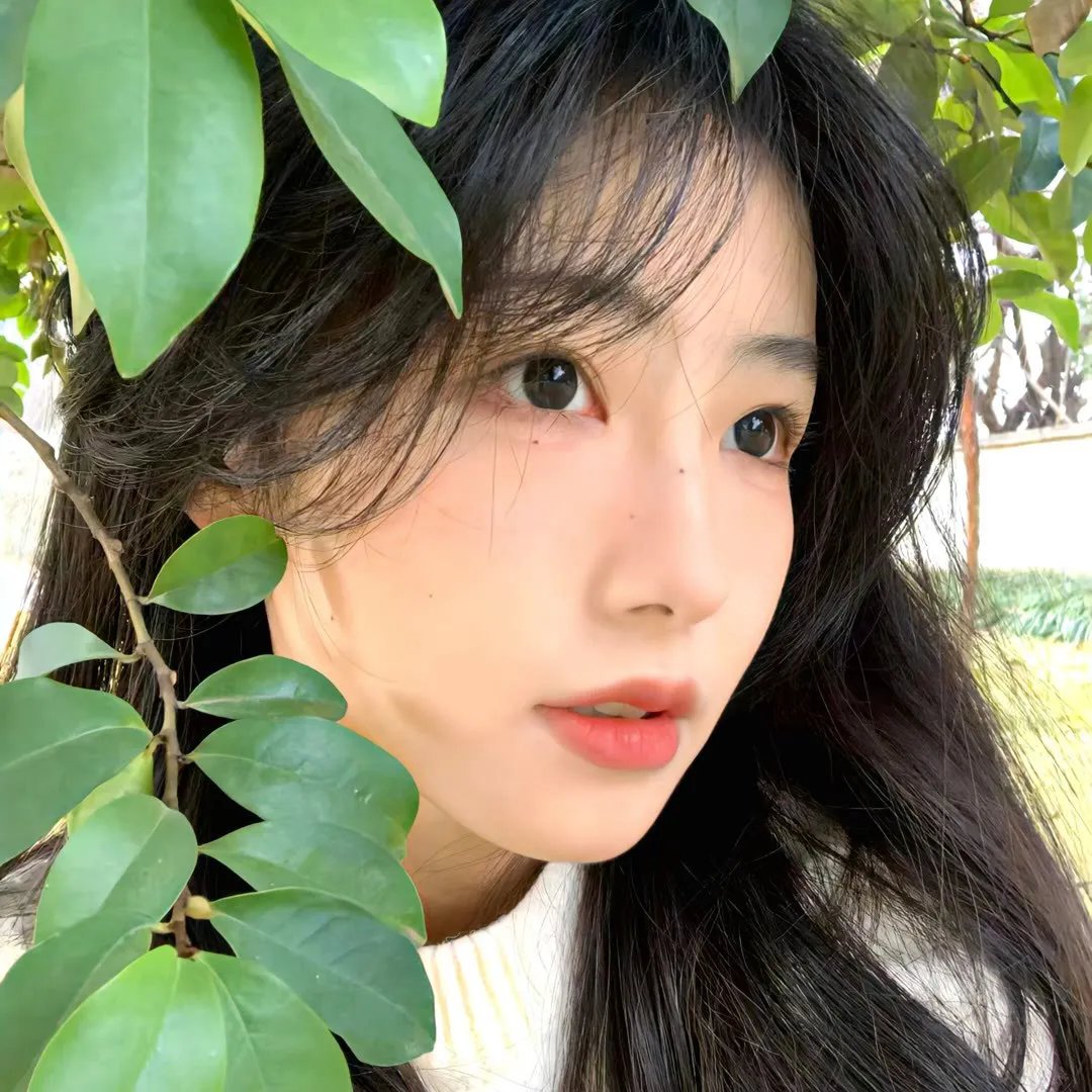 你的情歌海报