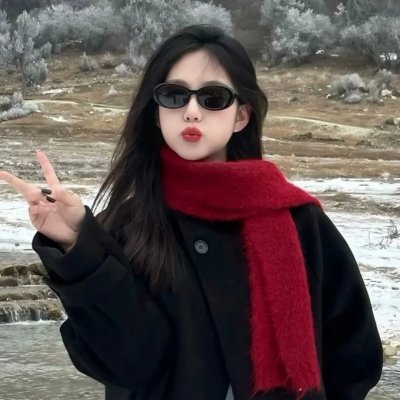 最强大脑第十二季海报